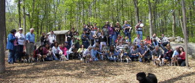 Rocky Top Dog Park Beagle Meet 5/4/08